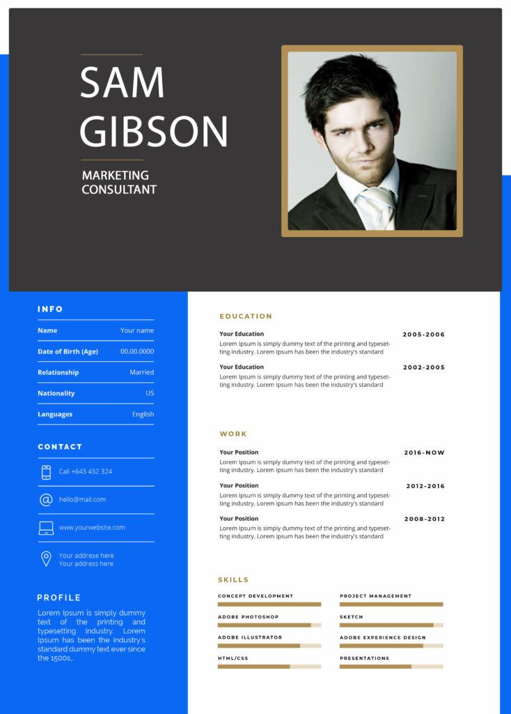Free Professional CV Templates example template
